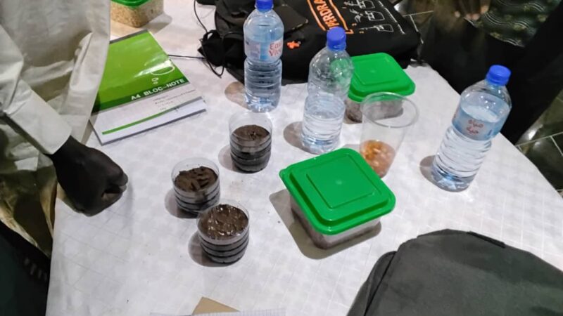 WhatsApp Image 2025-11-07 at 14.37.14