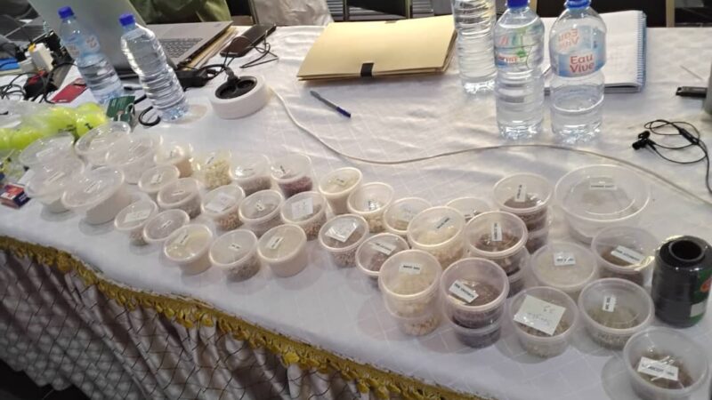 WhatsApp Image 2025-11-07 at 21.26.49